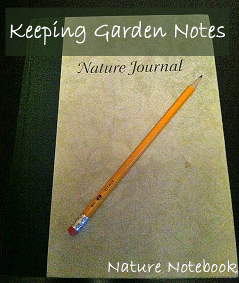 Planning out Plant Placement in your garden. | Harrington Harmonies