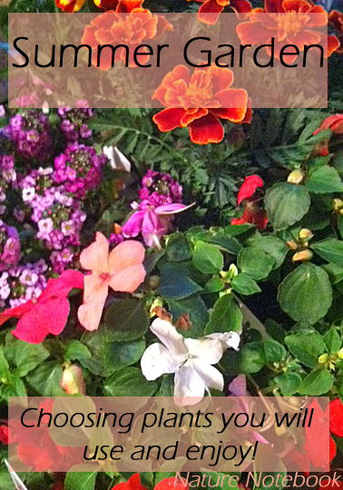 Choosing plants you will use and enjoy. | Harrington Harmonies