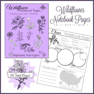 Wildflower Notebook Pages
